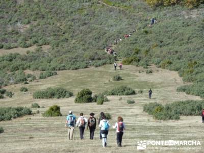 senderismo montaña, Parque Natural del Hayedo de Tejera Negra; el senderista